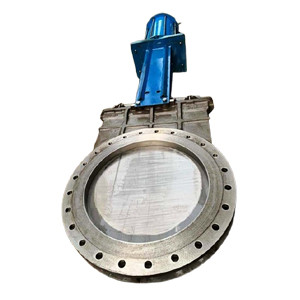 Rotex EDG Gate Valve DN 800 | Brand New |