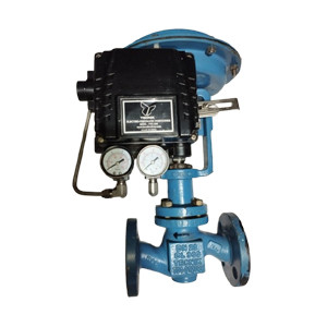 DN 25 CL300 TECNIK T10-012001 – High-Performance Industrial Valve