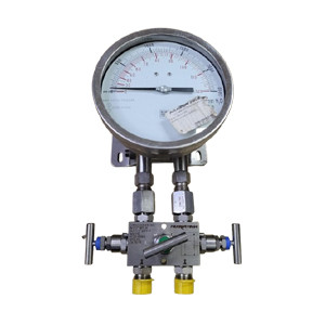 NUOVA FIMA Double Diaphram Differential Pressure Gauge 5M3A 543M 41F050 | Brand New |